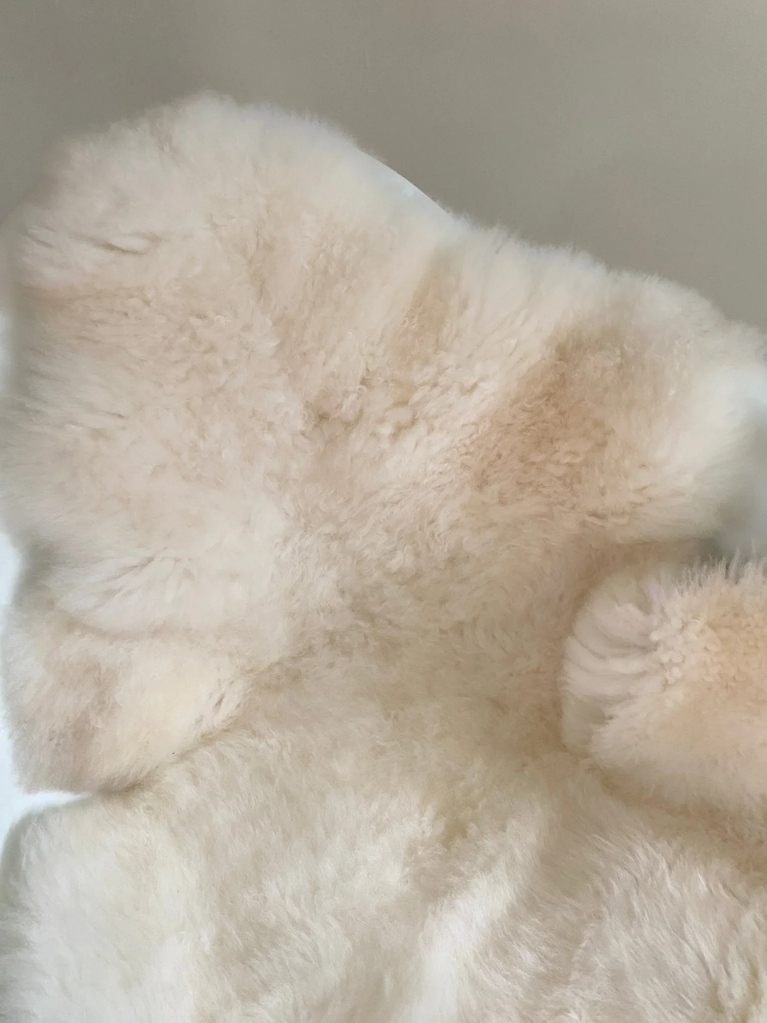 Classic Ivory Sheepskin - Image 8