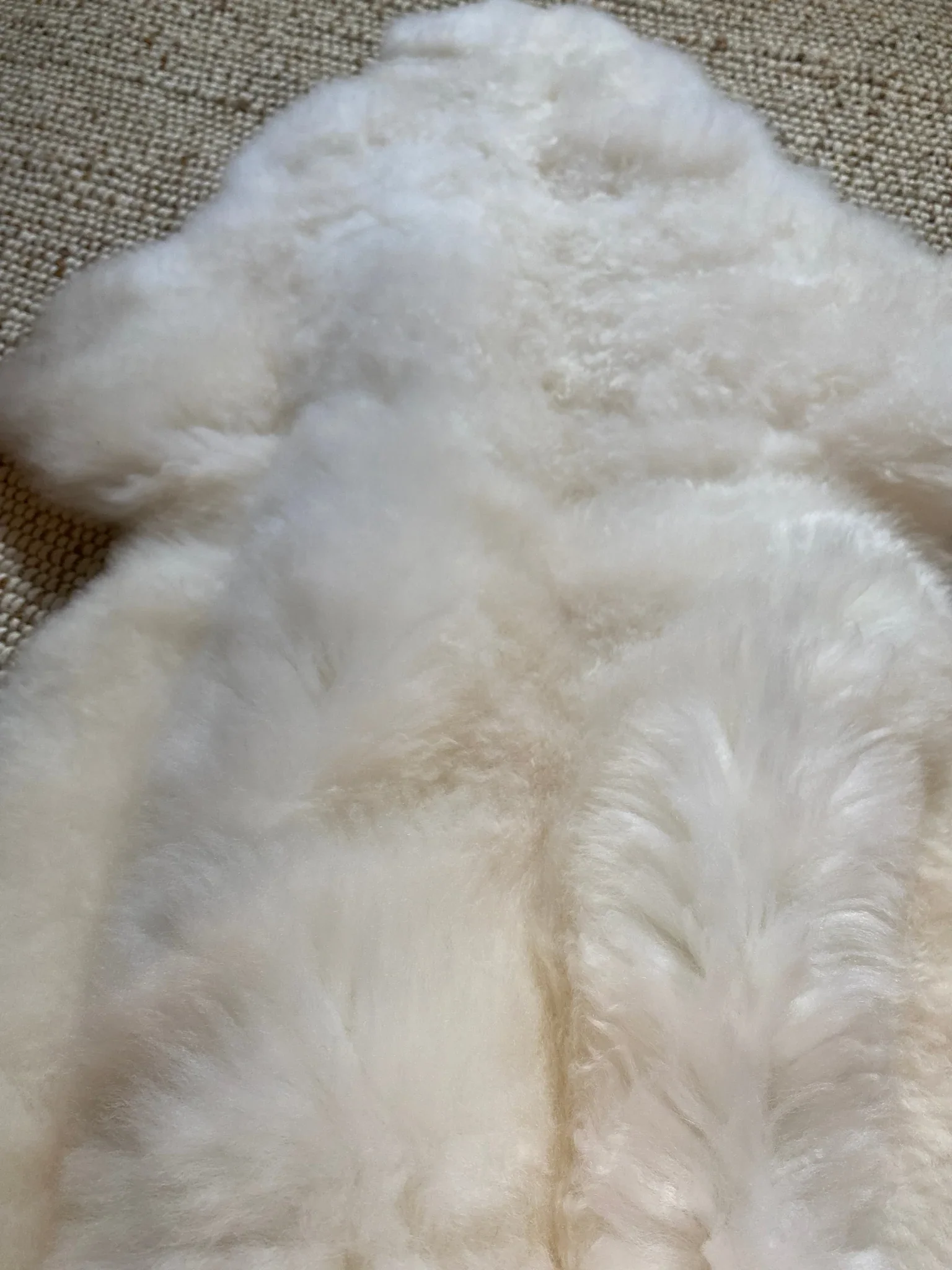 Classic Ivory Sheepskin - Image 9