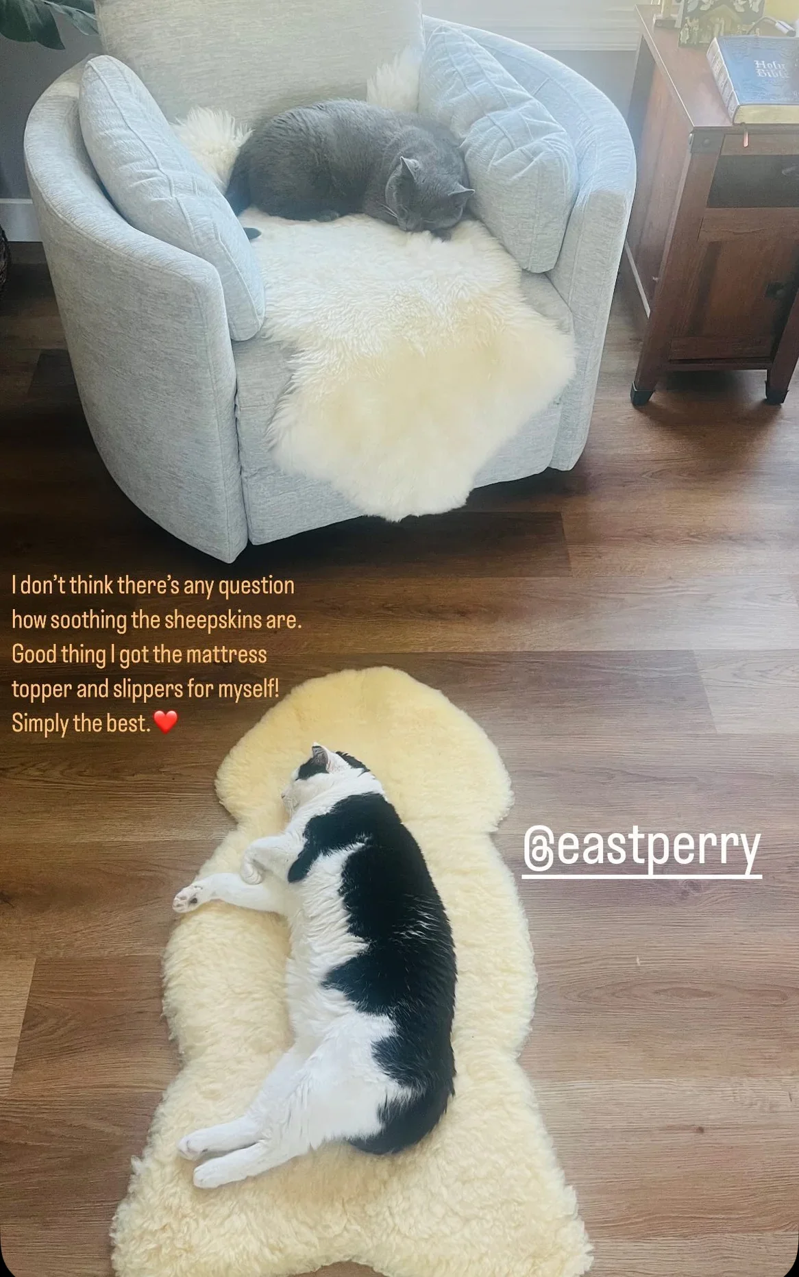 Sheepskin Family Bundle (Save on 3 sheepskin) - Image 10