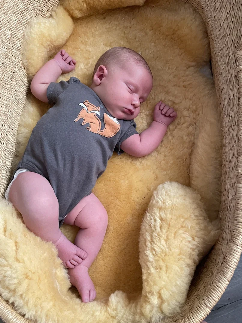 Sheepskin Family Bundle (Save on 3 sheepskin) - Image 11