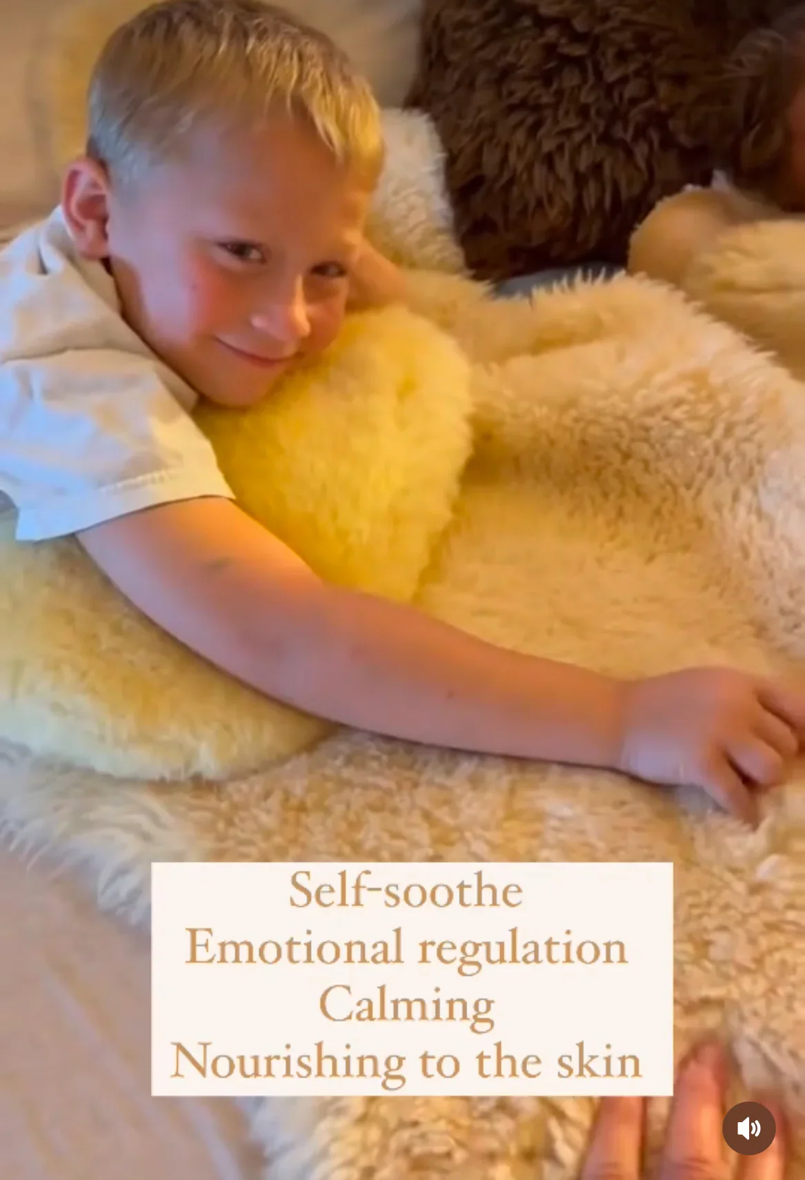 Sheepskin Family Bundle (Save on 3 sheepskin) - Image 7