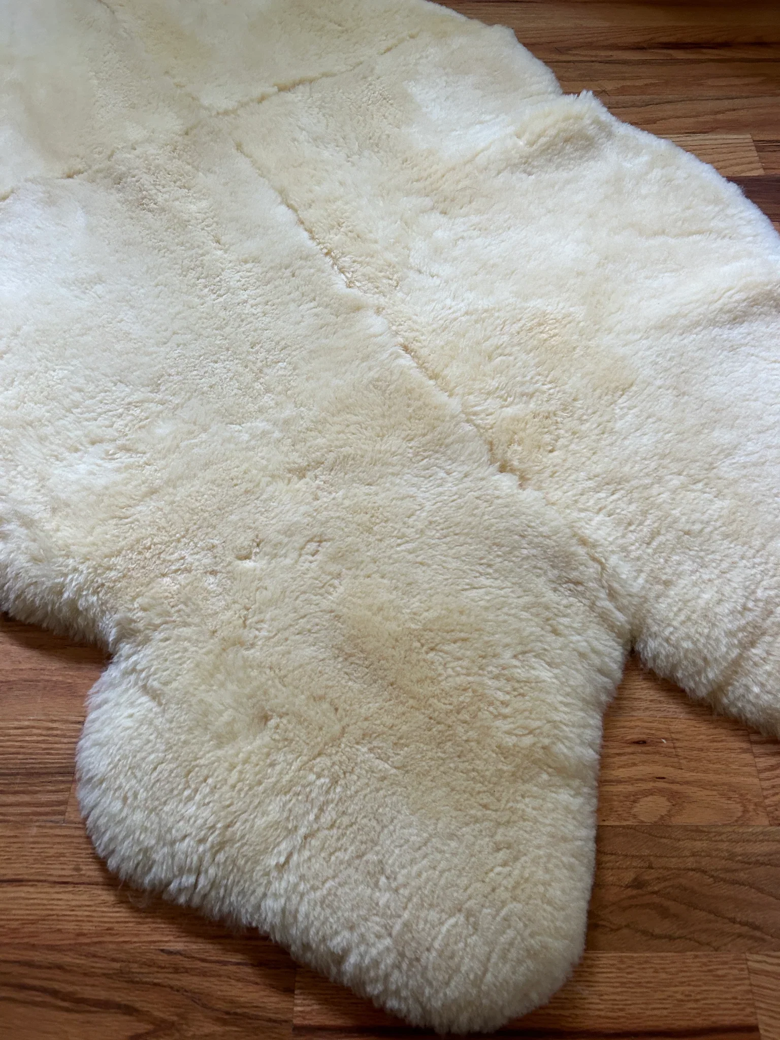 Medical Relugan Quad Sheepskin - Image 6