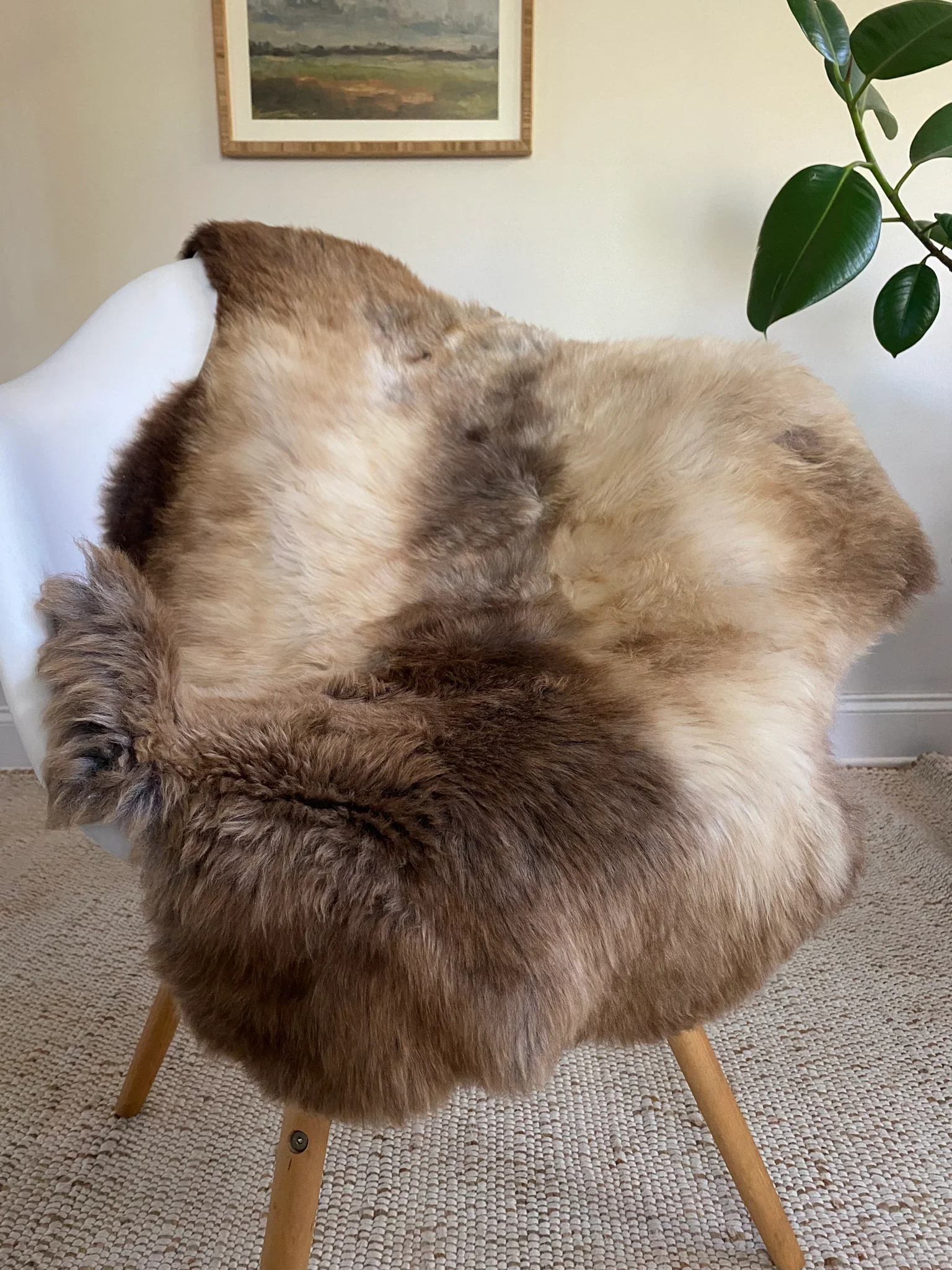 Mixed Color Super Soft Sheepskin (Various) - Image 4