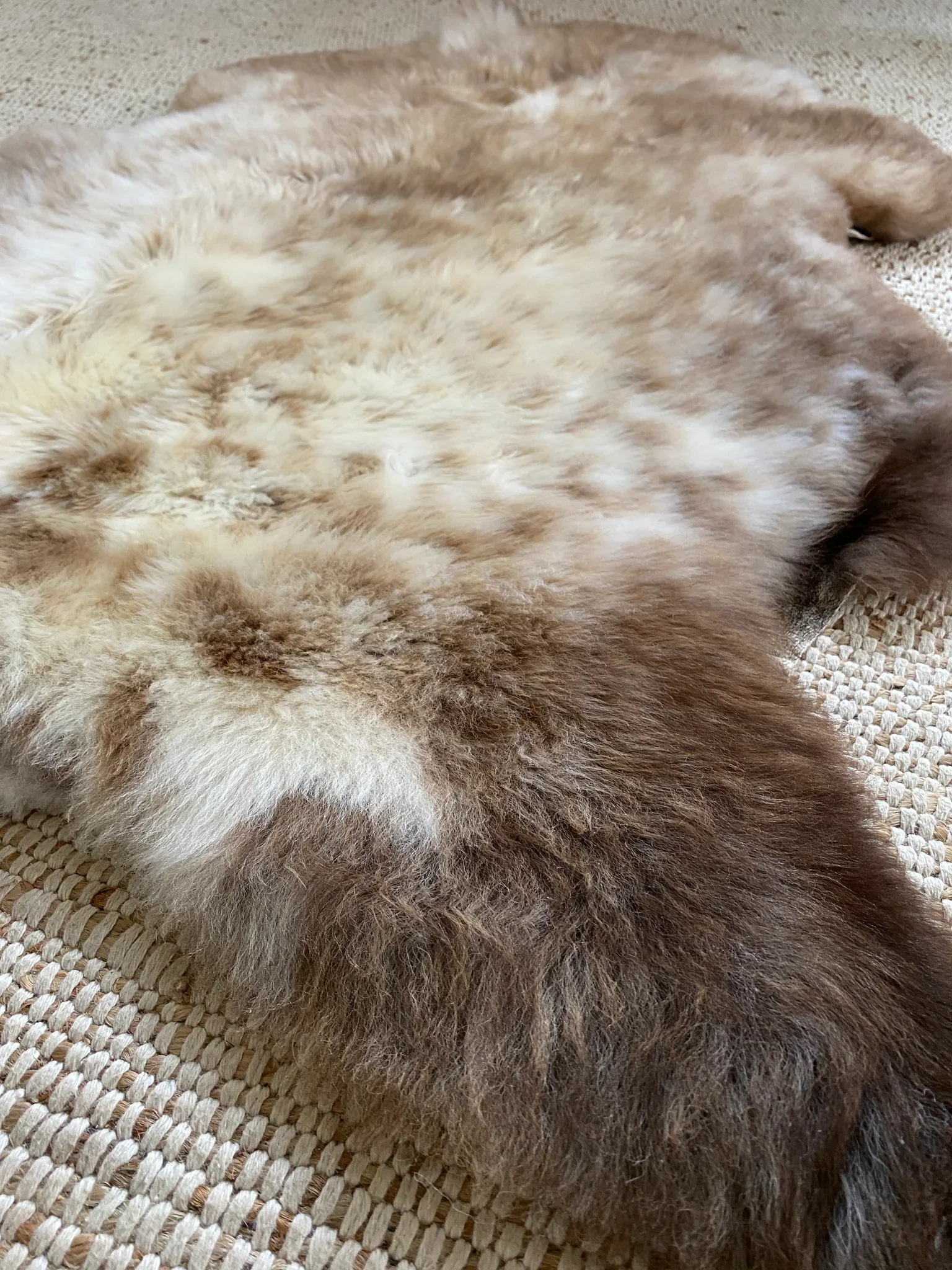 Mixed Color Super Soft Sheepskin (Various) - Image 7