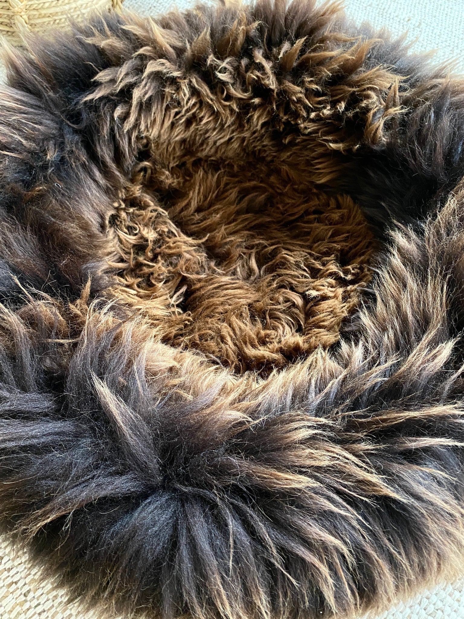 The Snug in Brown, Medium - Image 5