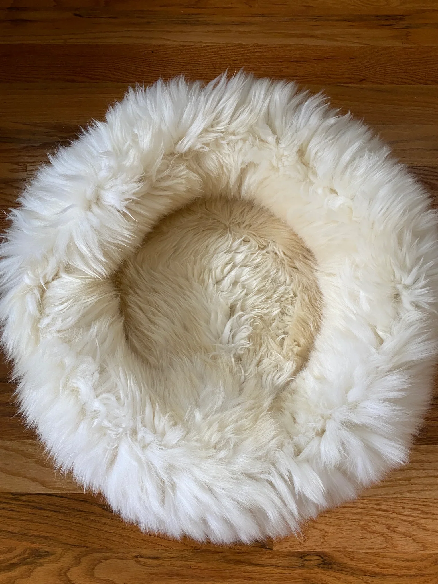 The Snug in Ivory, Medium - Image 5