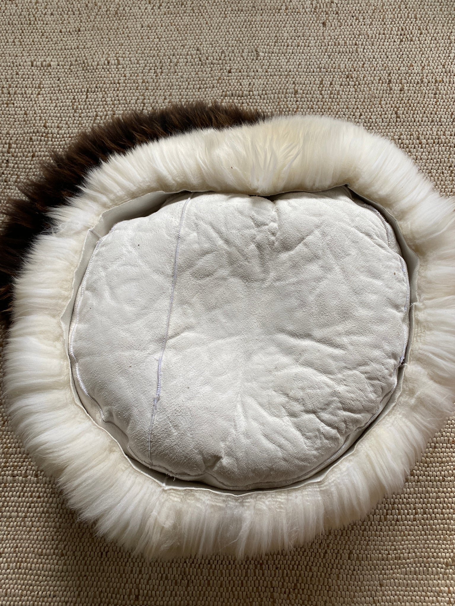 The Snug in Ivory, Medium - Image 6