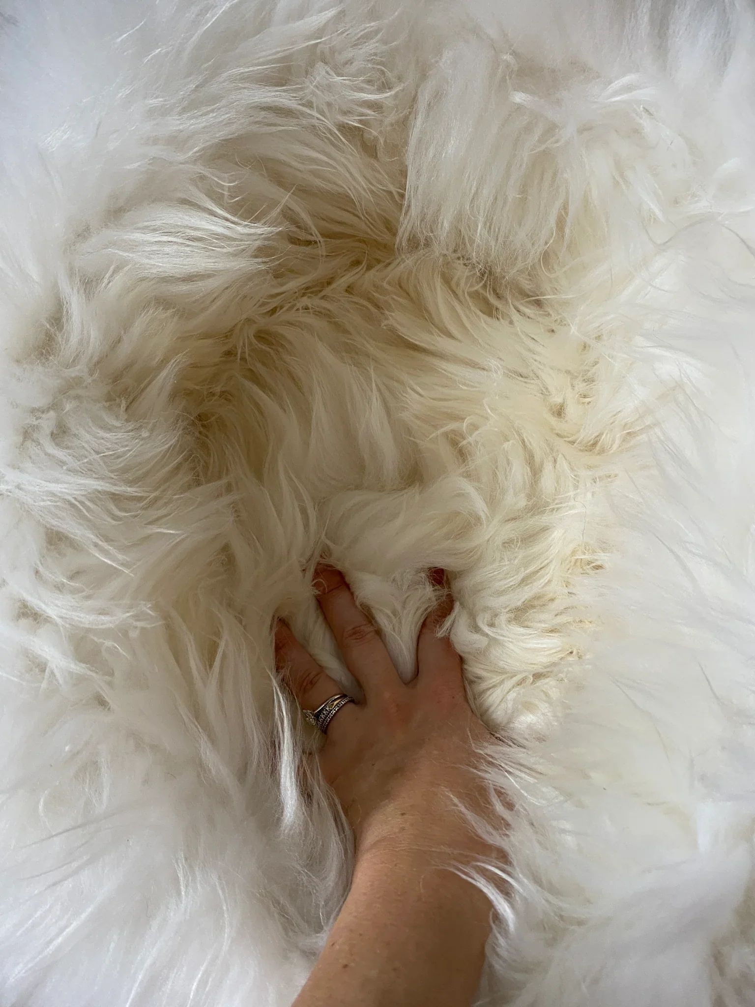 The Snug in Ivory, Small - Image 5
