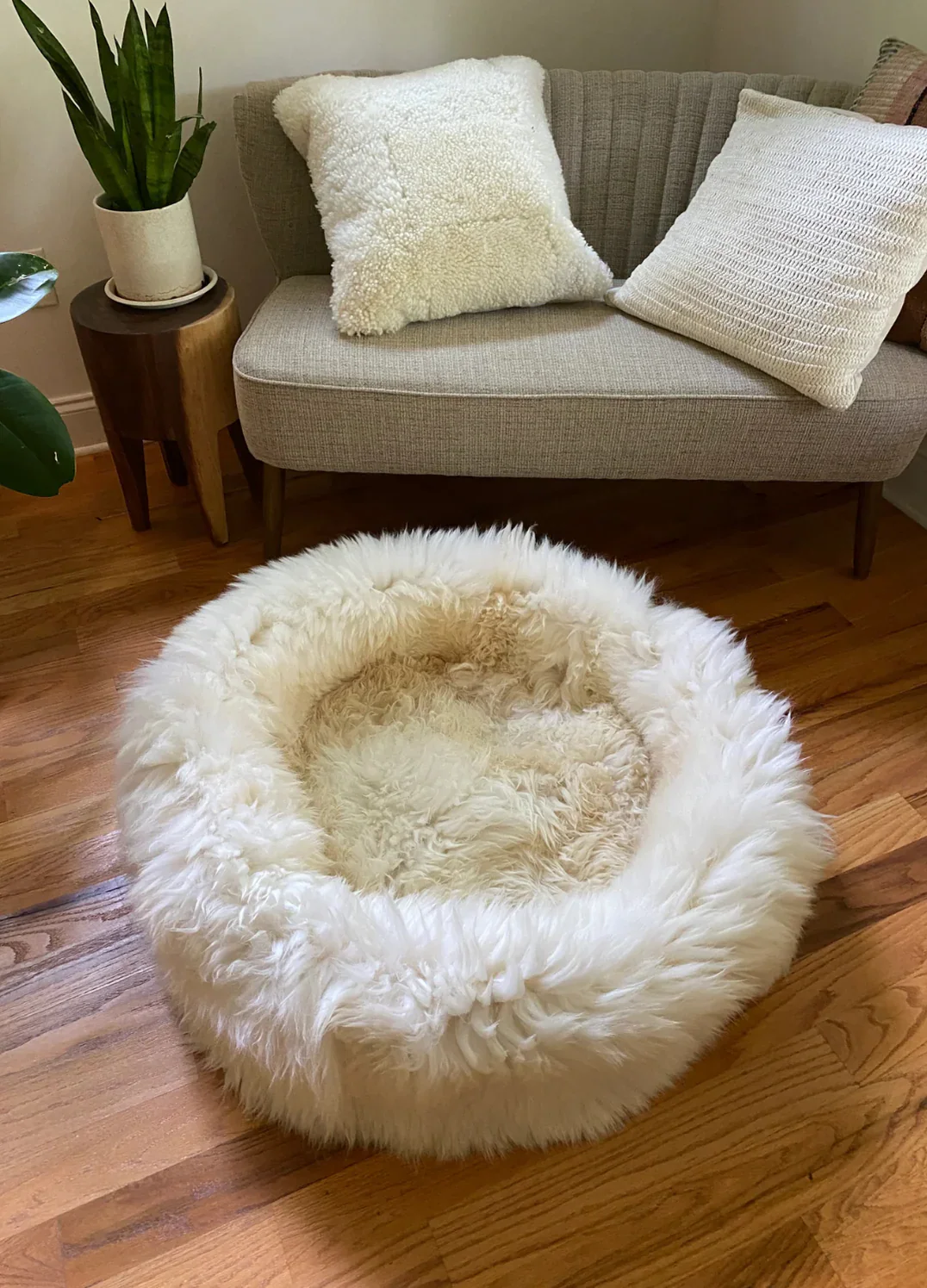 The Snug - Image 3
