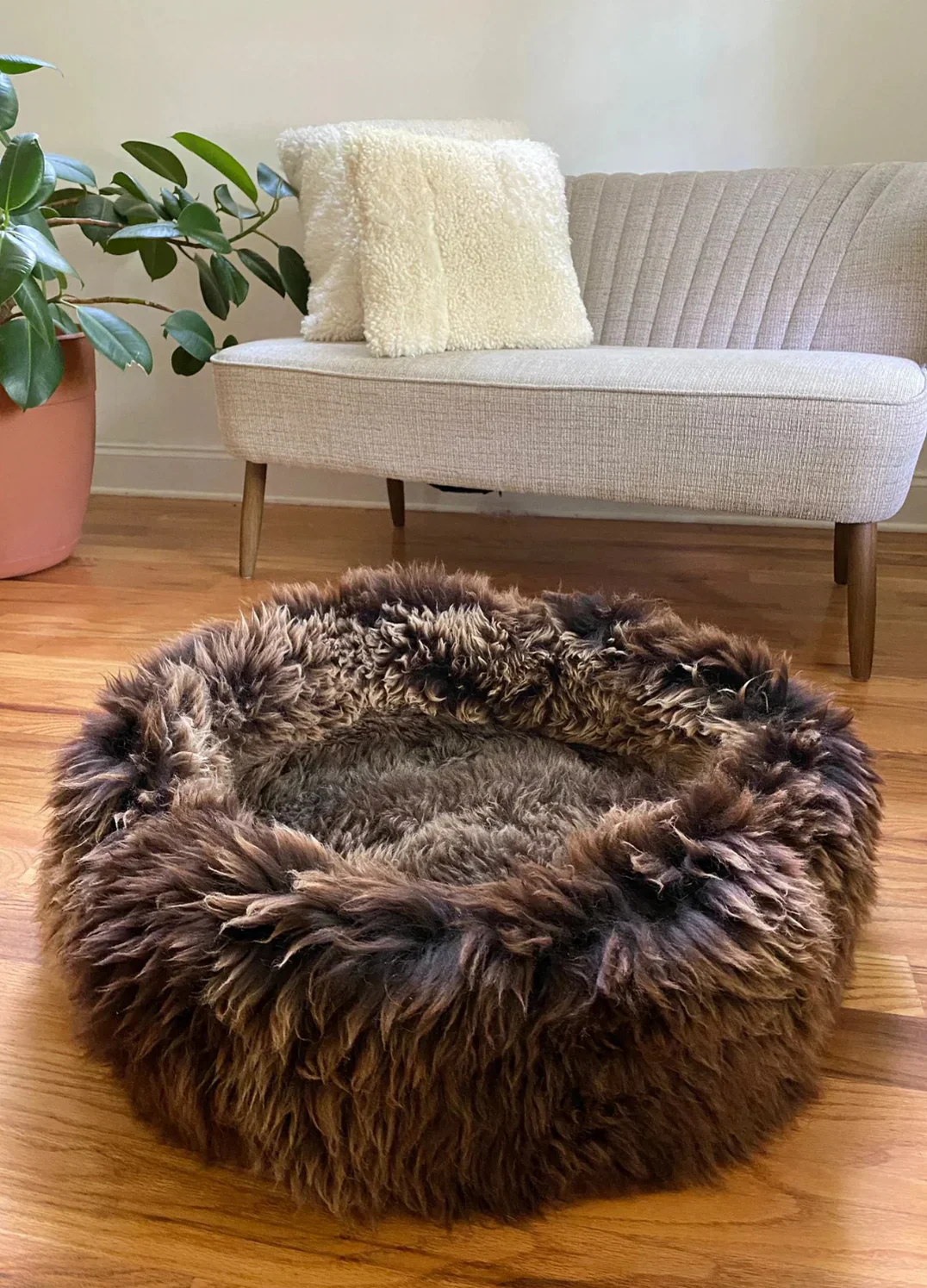 The Snug - Image 6