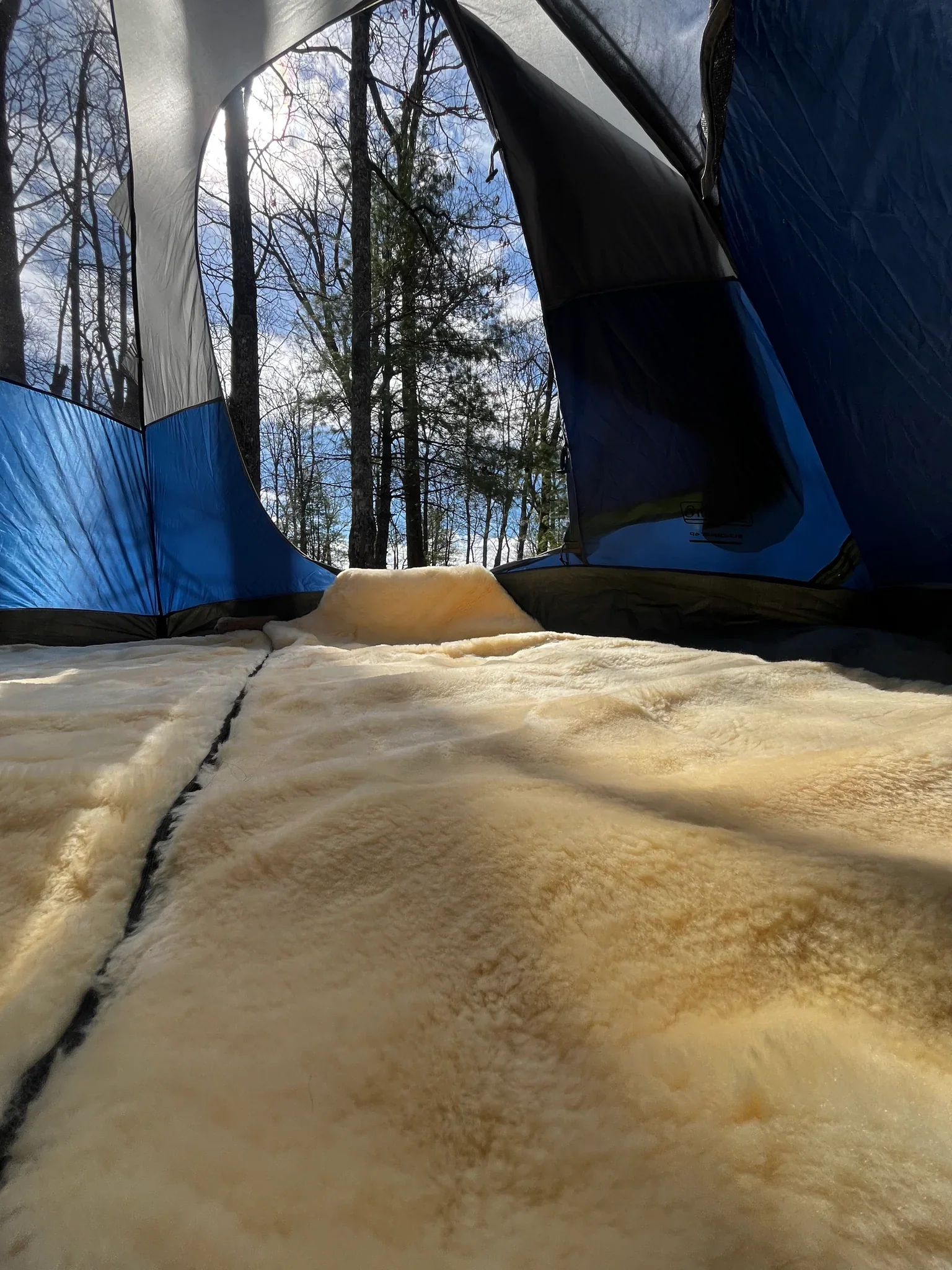 Sheepskin Sleeping Bag - Image 5