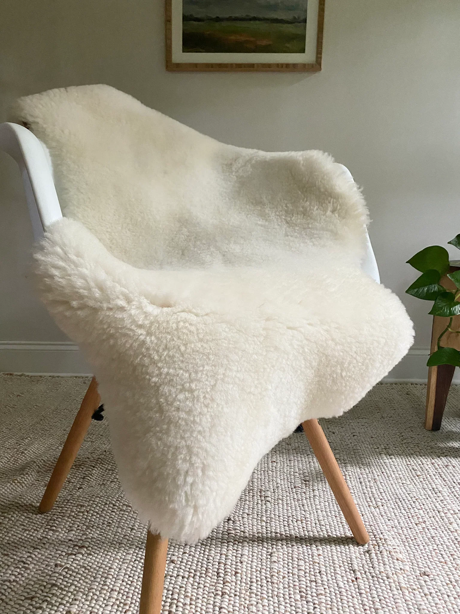 Short Fur Ivory Sheepskin - Image 3
