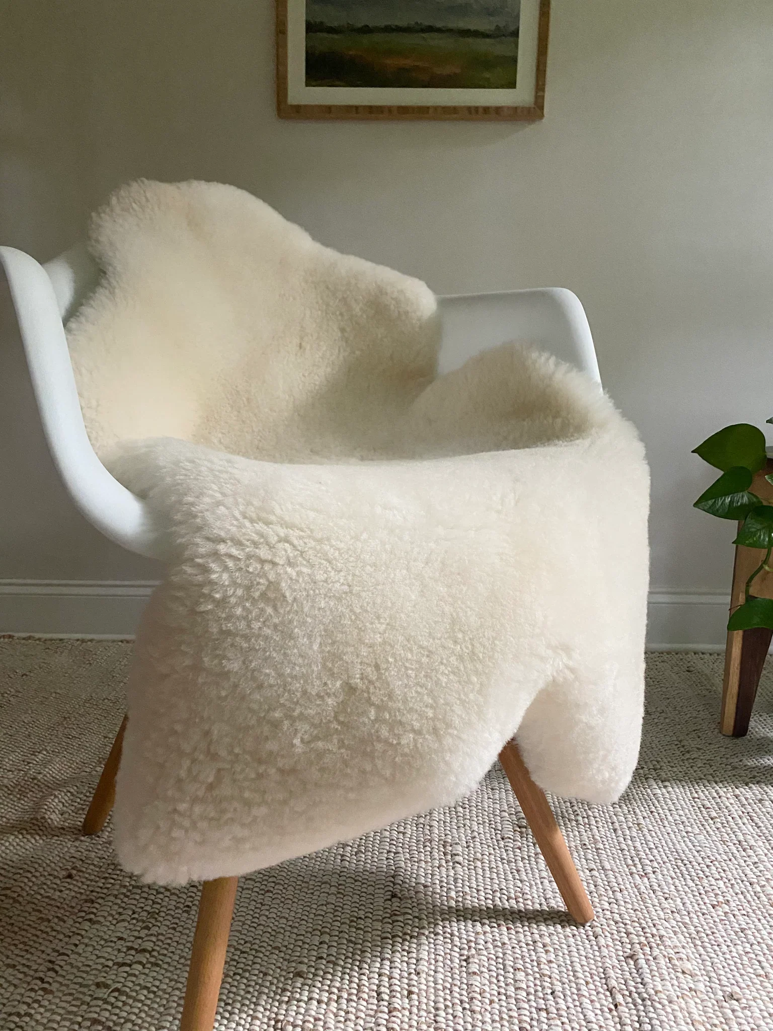 Short Fur Ivory Sheepskin - Image 5