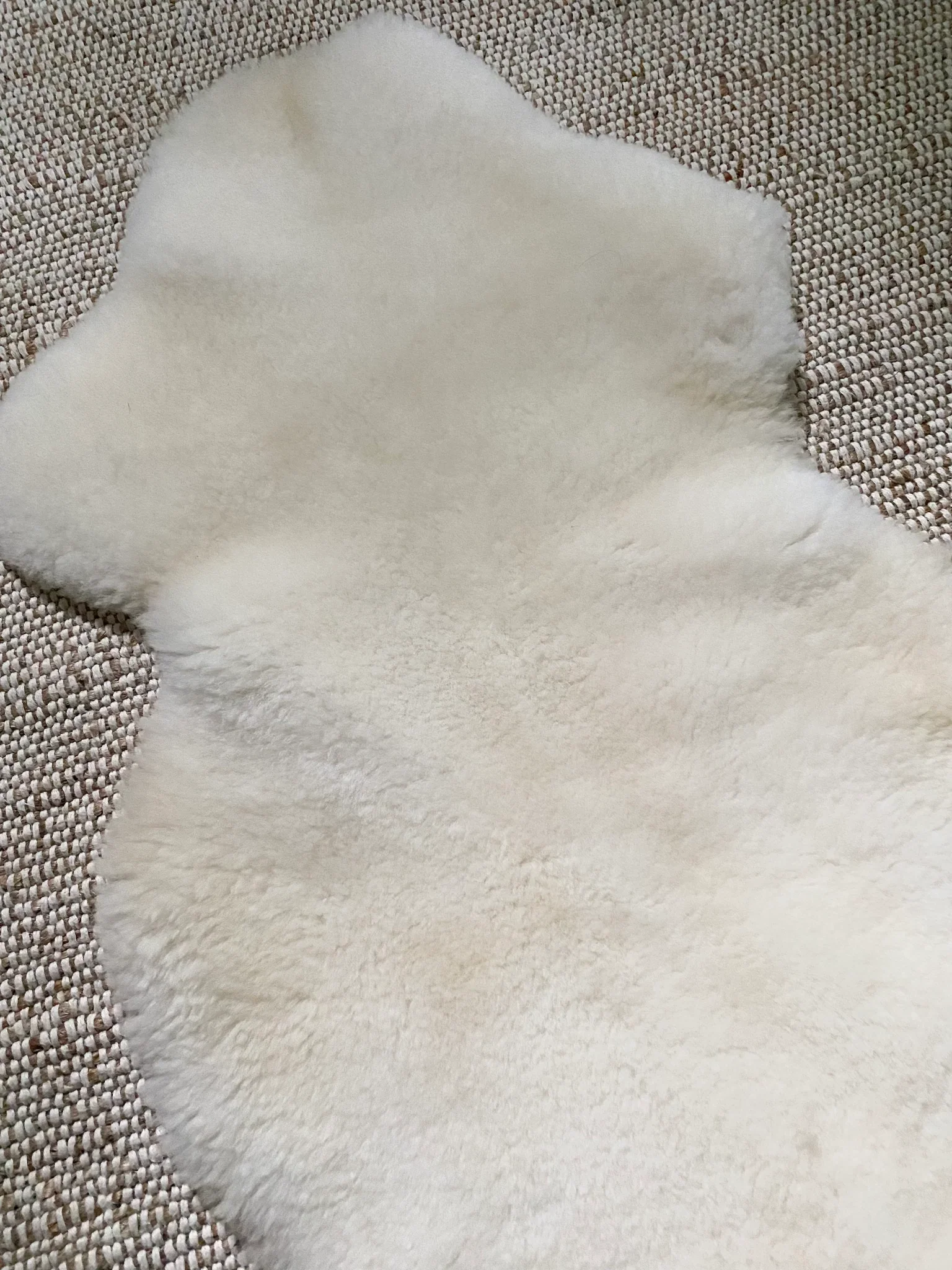 Short Fur Ivory Sheepskin - Image 6