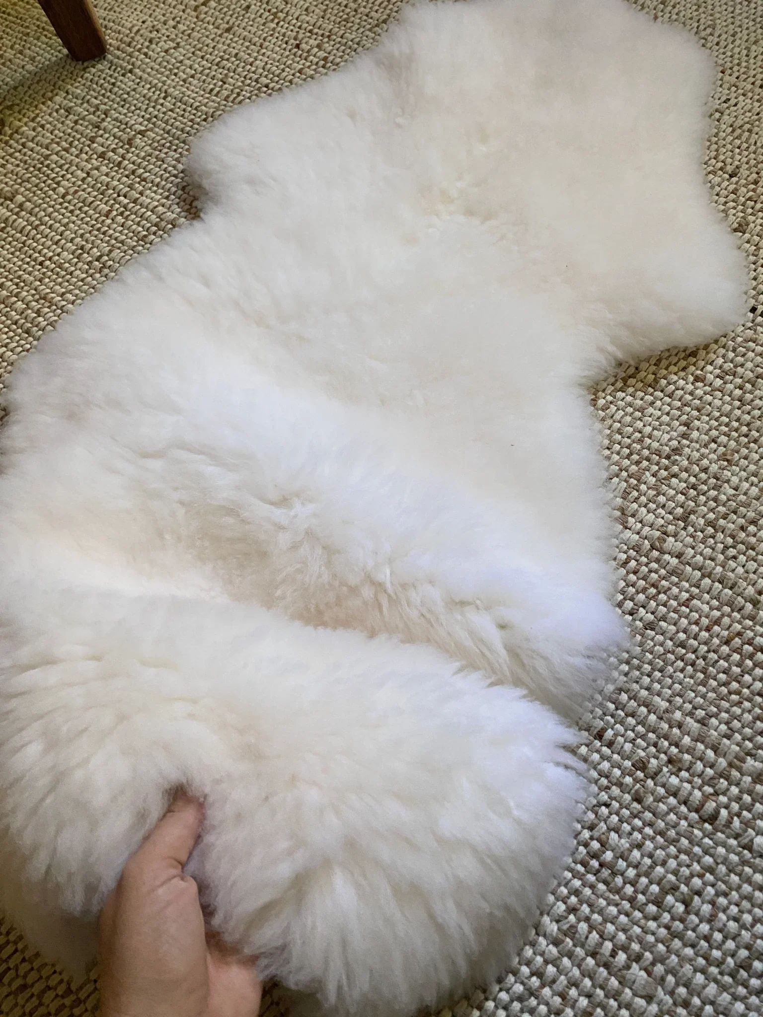 Bassinet Sheepskin: Ivory (Small) - Image 3