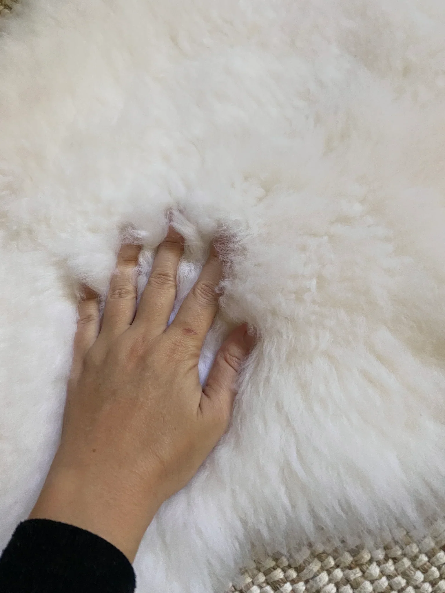 Bassinet Sheepskin: Ivory (Small) - Image 5
