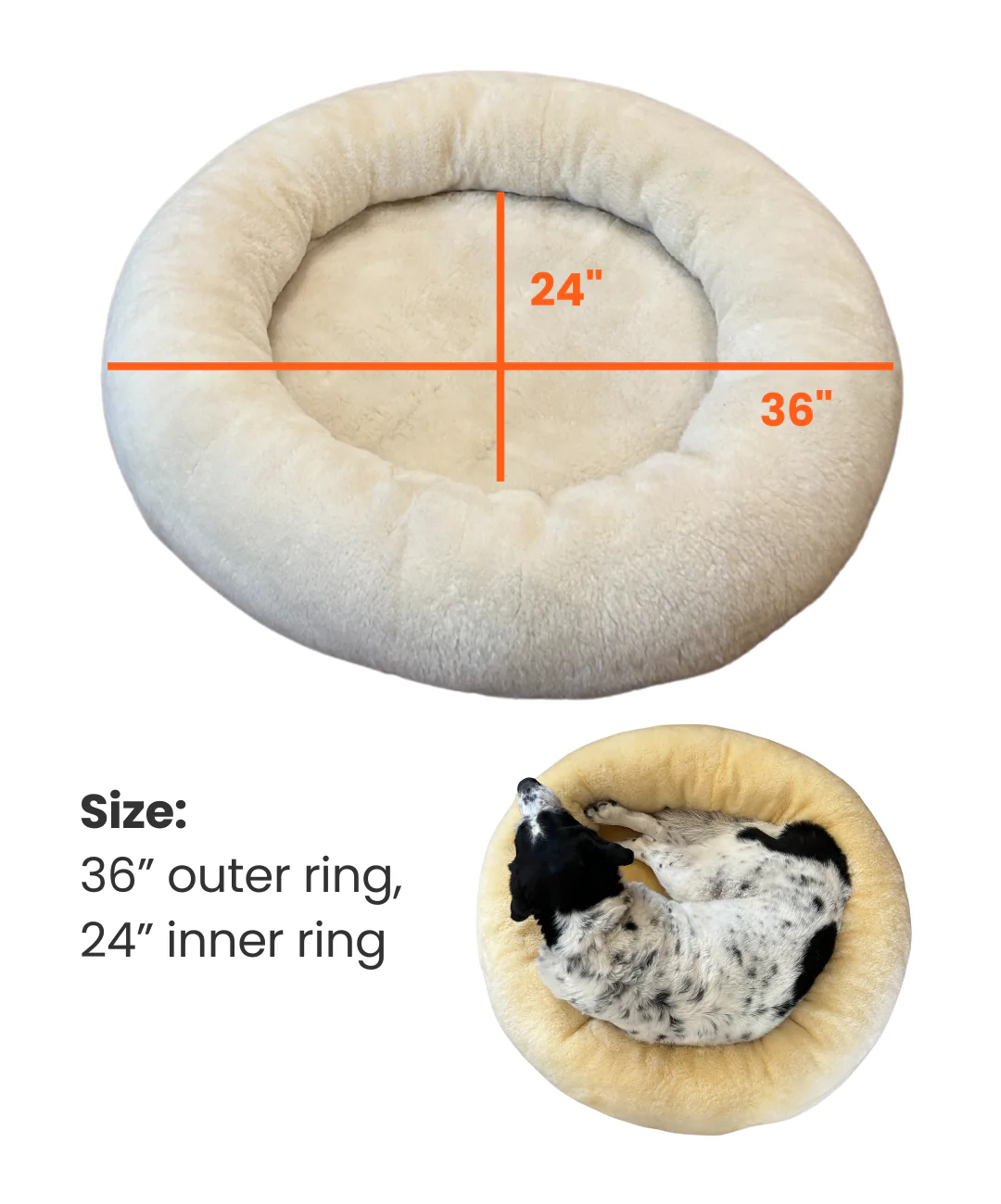 SNUGLY - Image 4