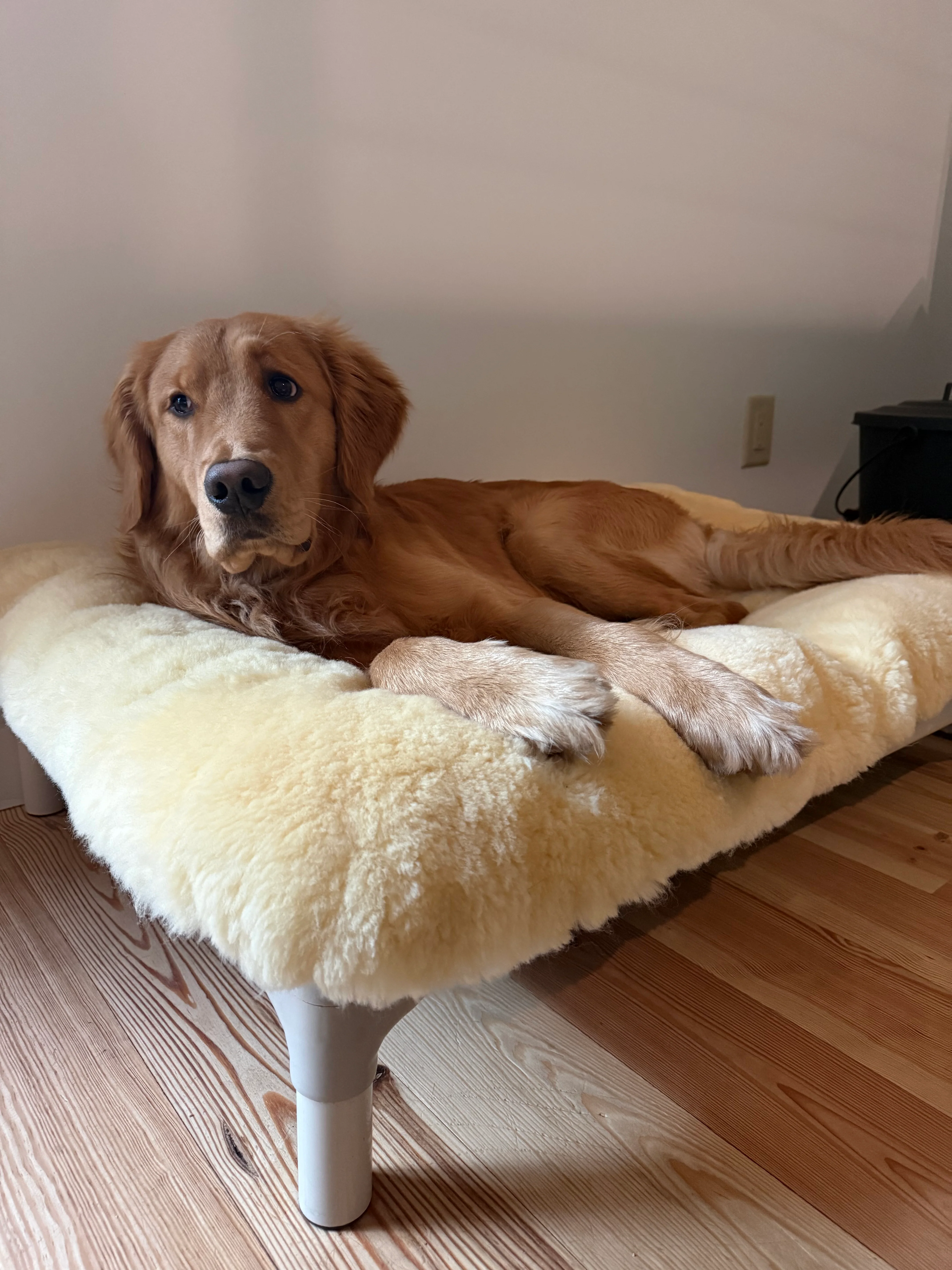 The PupPad - Image 3