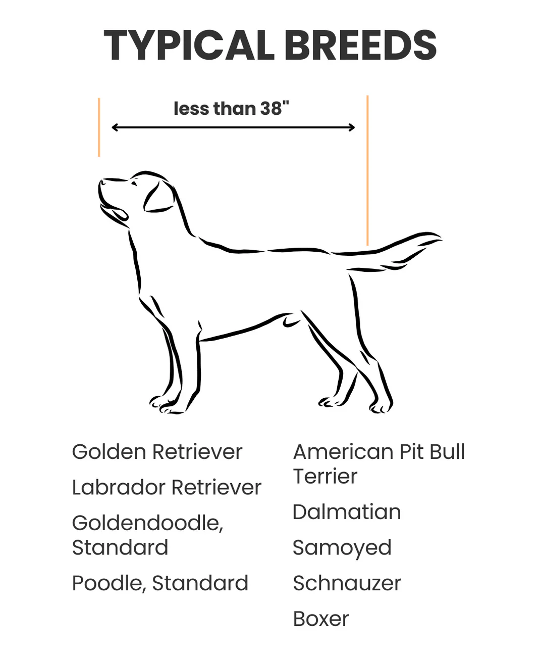 The PupPad - Image 9
