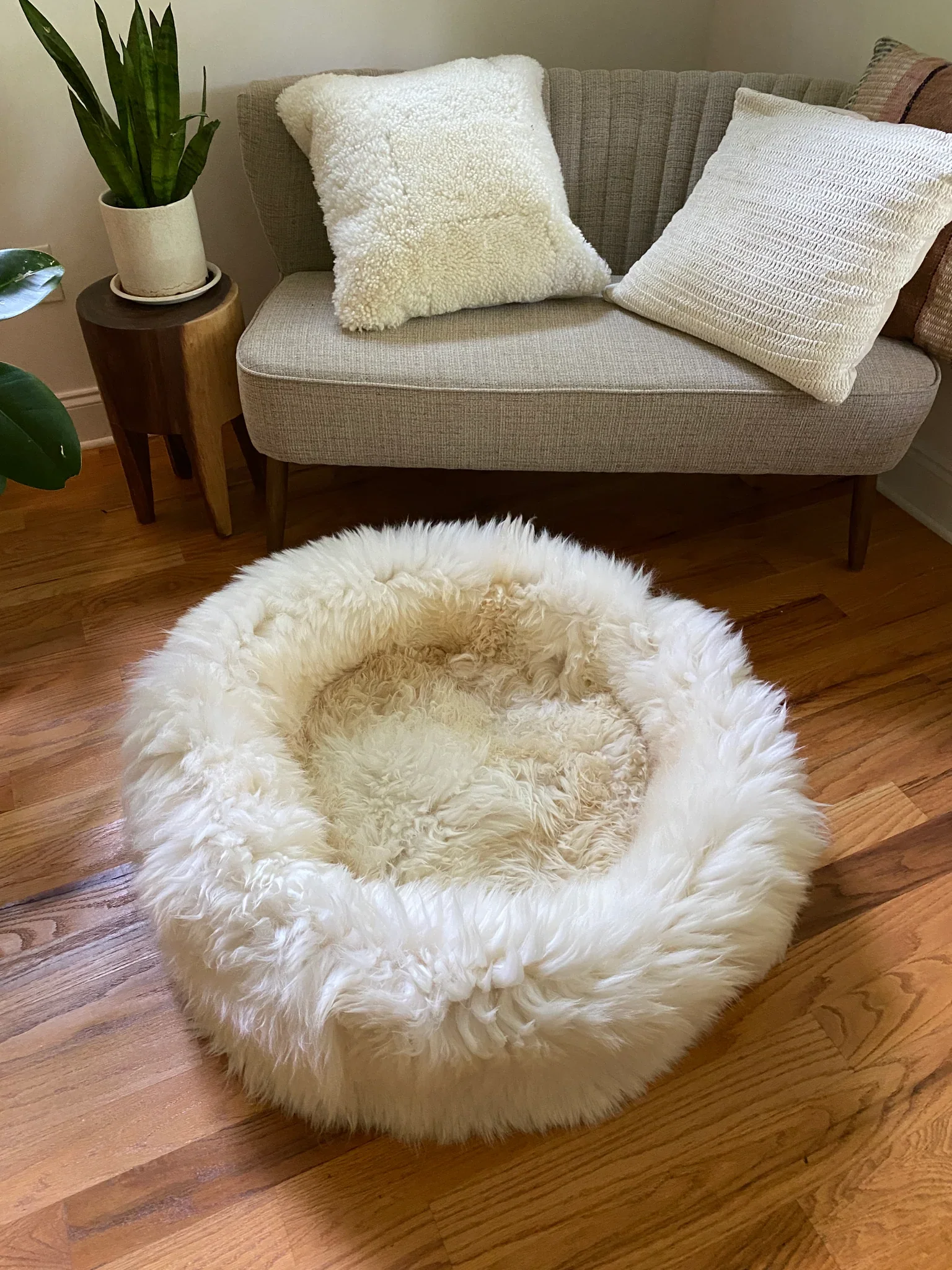 The Snug in Ivory, Large - Image 3